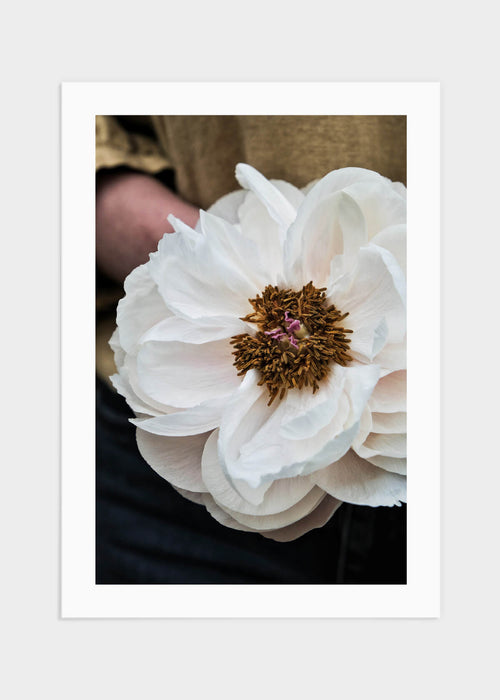 Big flower poster