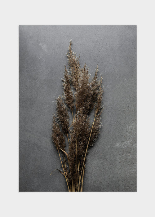Simplicity grey poster