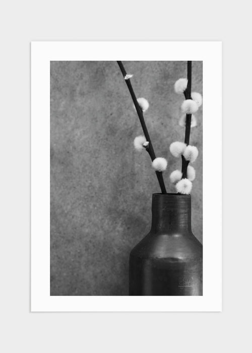 Flower buds poster