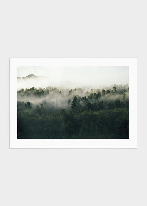 Foggy woods poster