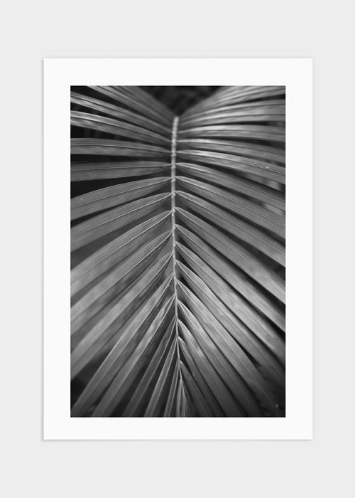 Tropical 1 poster