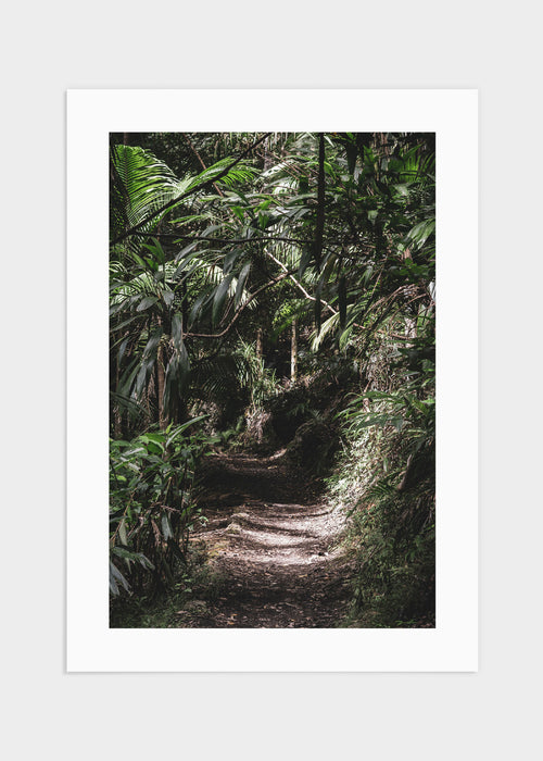 Jungle poster
