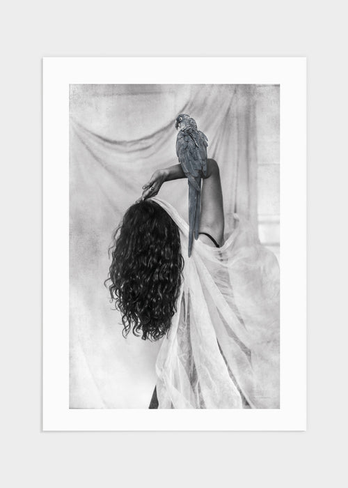 Girl with parrot poster