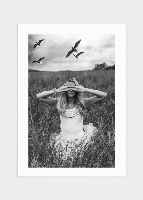 Bird field poster