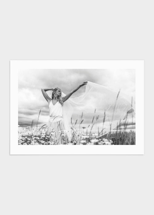 Flower field poster