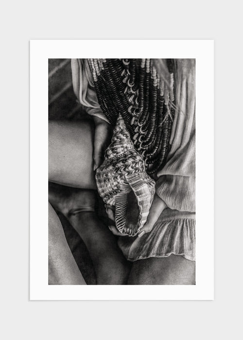 Big seashell poster