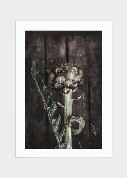 Artichoke poster