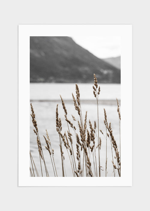 Reed 2 poster