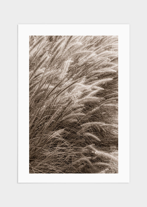 Reed 3 poster