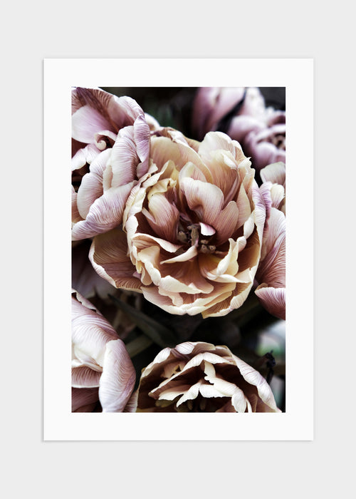 Purple flowers 2 poster