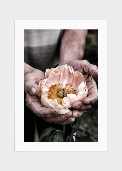 Holding a flower poster