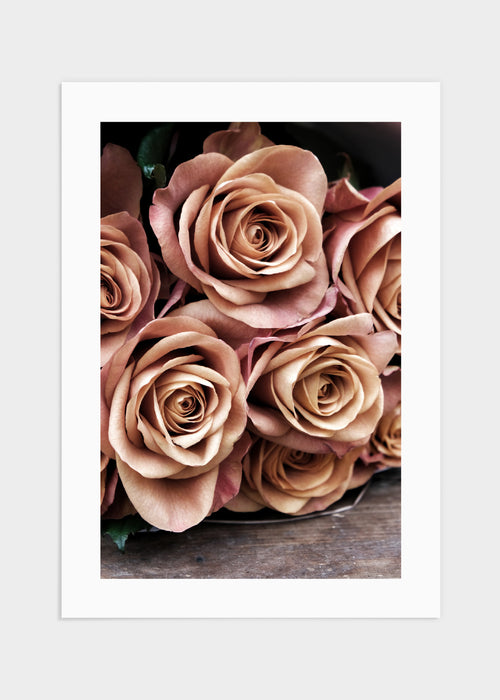 Orange roses poster
