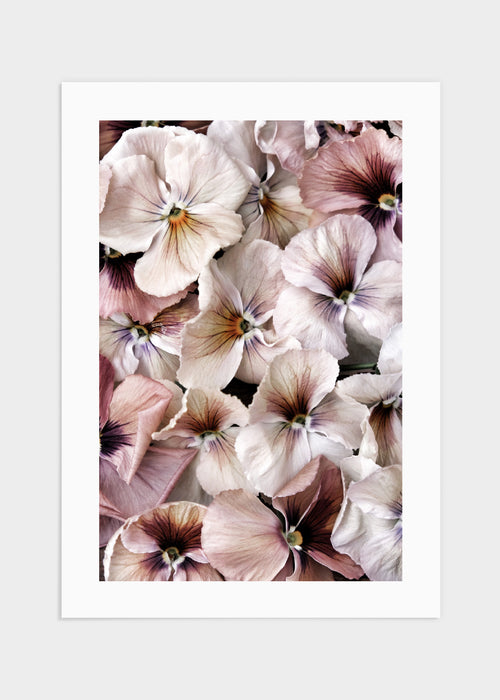 Penseer poster