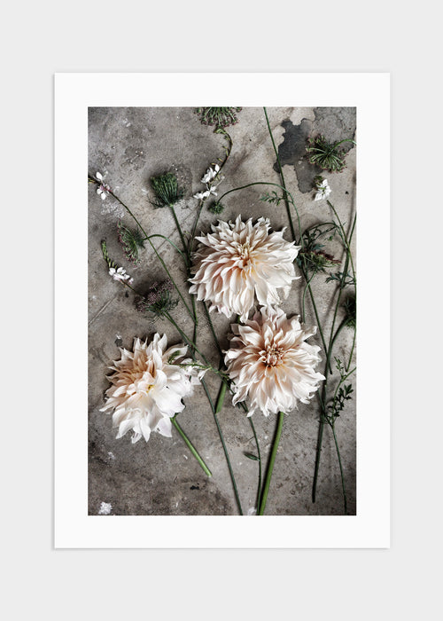 Dahlia poster