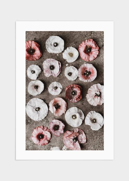 Red & white flowers poster