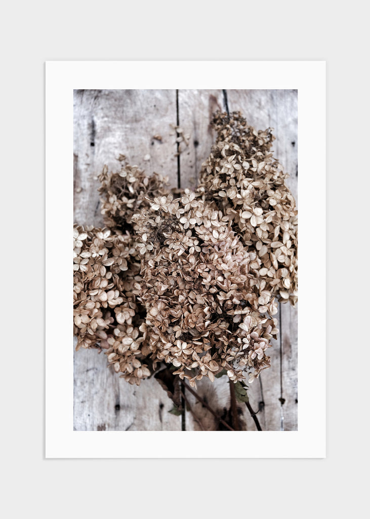 Dried flowers poster