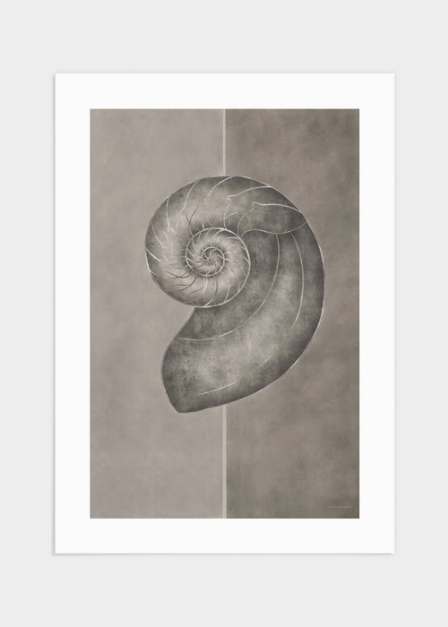 Fossil poster
