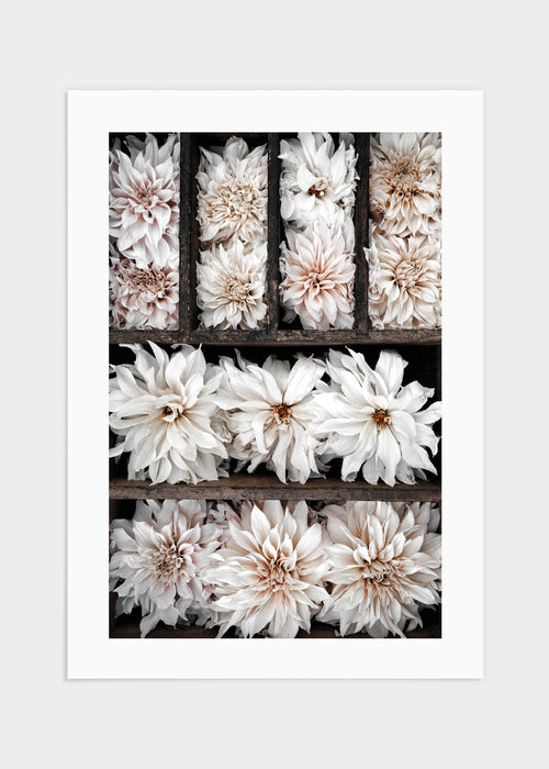 Flower box poster