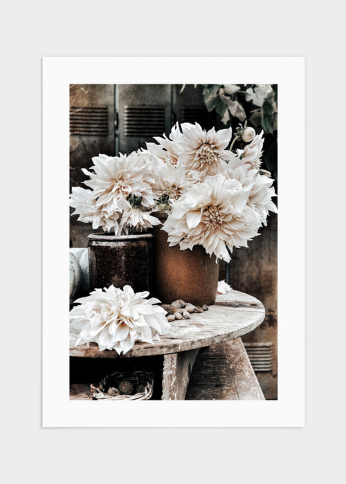 Dahlia café au lait poster