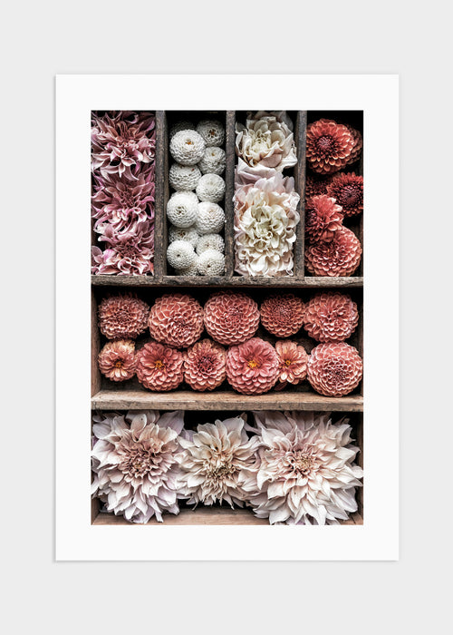 Flower box 2 poster