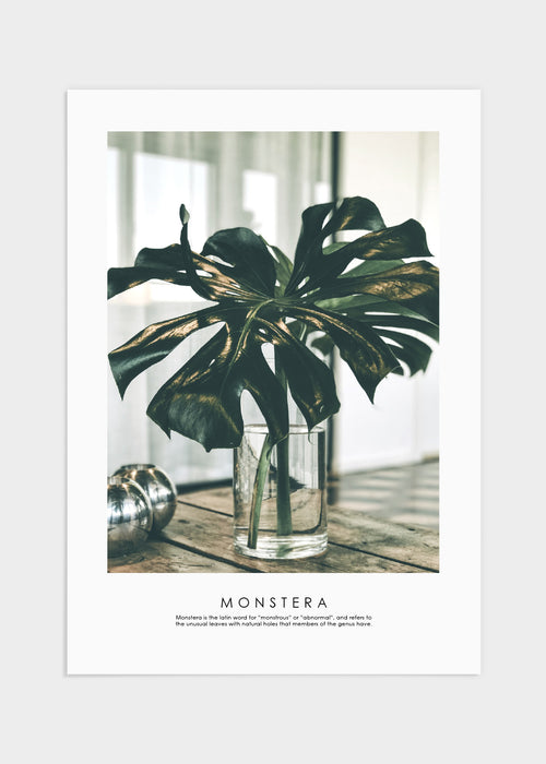 Monstera poster
