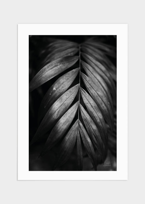 Plant in Estepona poster