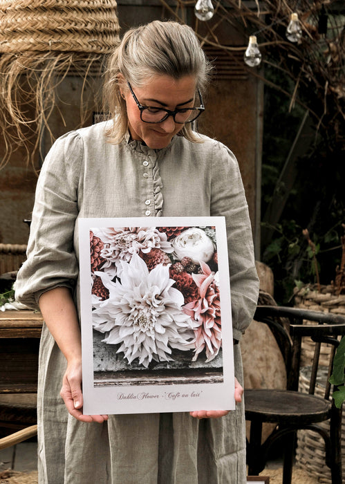 Dahlia flower - 'Café au lait' poster
