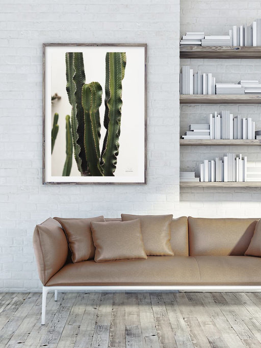 Posters & Prints - CACTUS MARBELLA POSTER