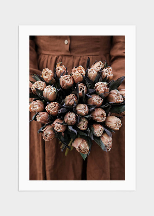 Rust brown tulips poster