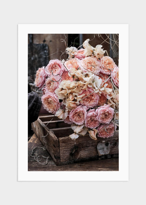 Pink roses in wooden box poster