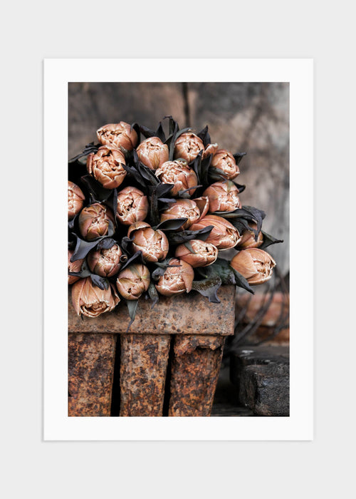 Tulips in rustic box poster