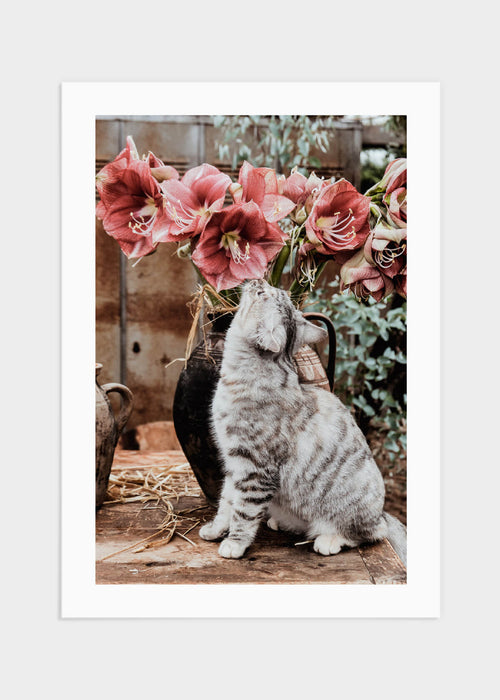 Little kitten with flowers poster