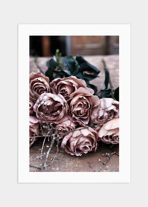 Pink roses poster