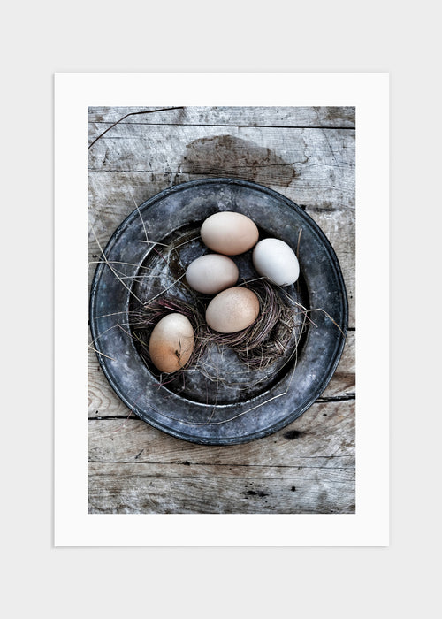 Egg poster