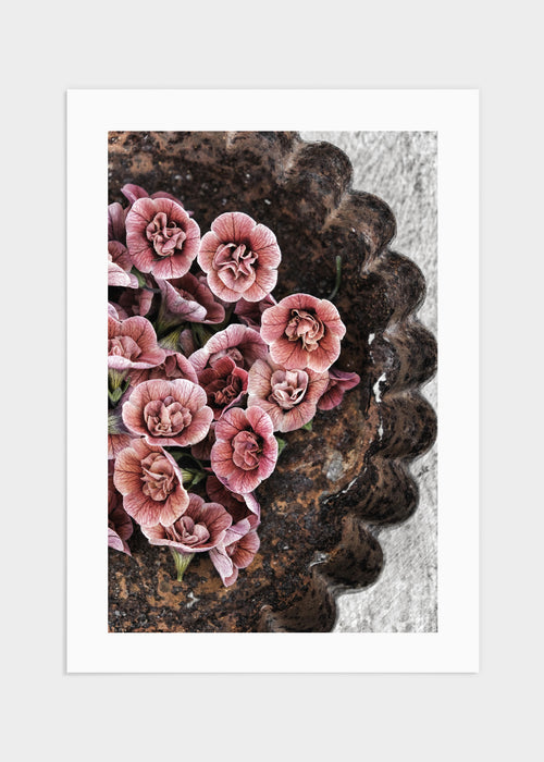 Small red flowers poster