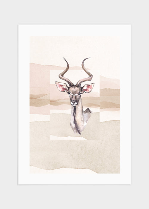 Antelope poster