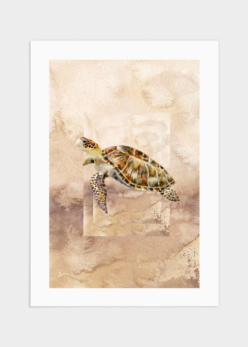 Turtle poster