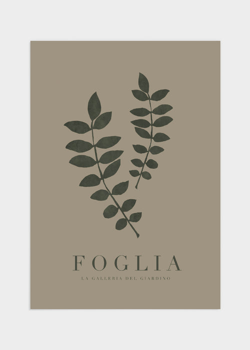 Foglia poster