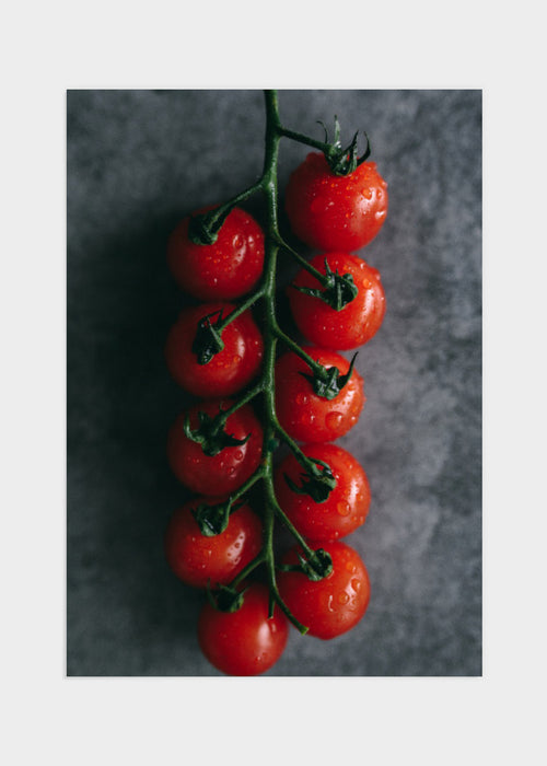 Tomatoes poster