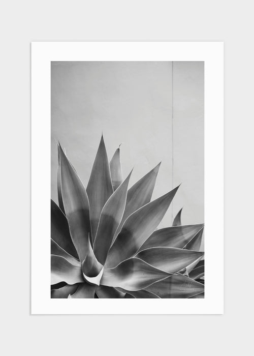 Plant Marbella poster
